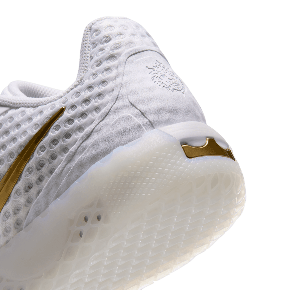 Men's Nike LeBron Witness X