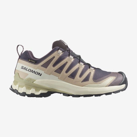 Salomon hiking shoe on a white background