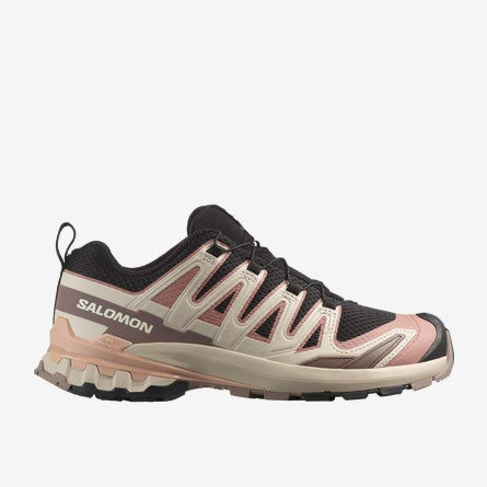 Salomon hiking shoe on a white background