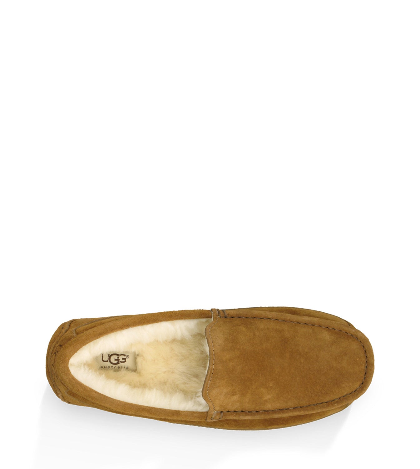 Men's Ugg Ascot - Sneakerology