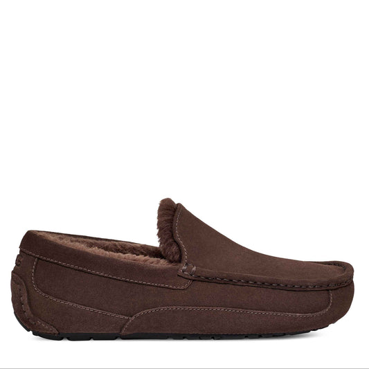 Men's Ugg Ascot