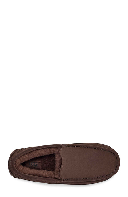 Men's Ugg Ascot