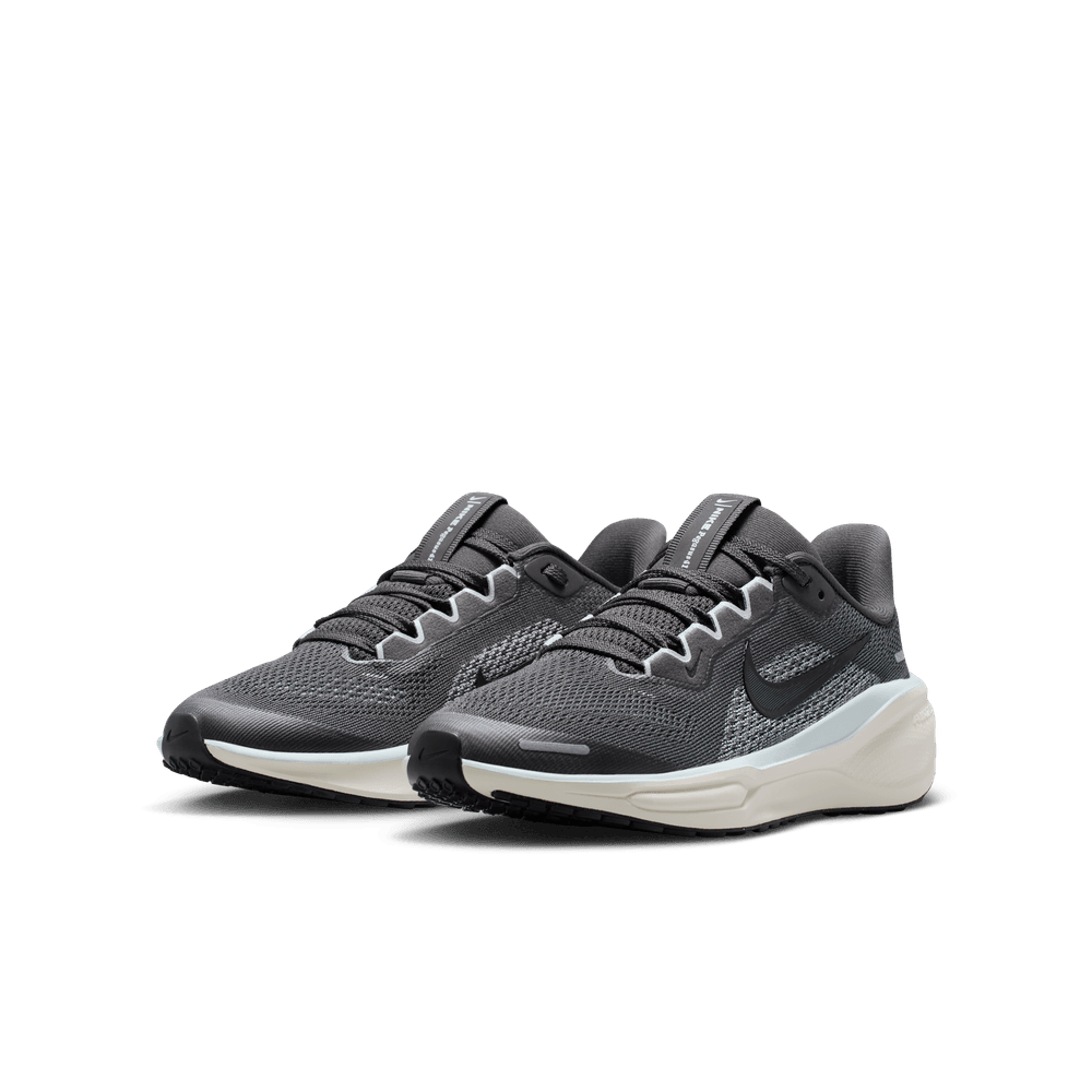 Kids' Nike Nike Pegasus 41 GS - Sneakerology