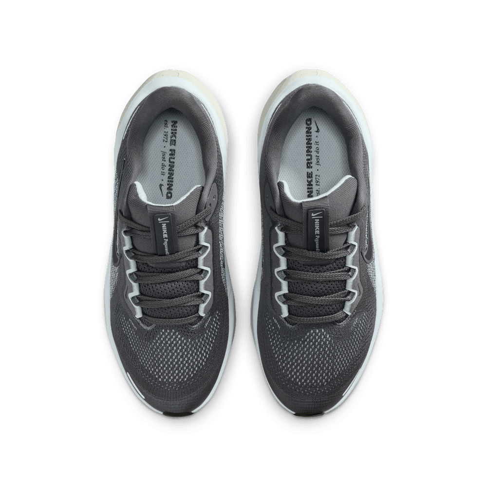 Kids' Nike Nike Pegasus 41 GS - Sneakerology