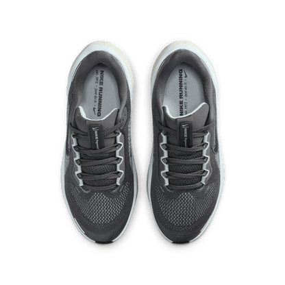 Kids' Nike Nike Pegasus 41 GS - Sneakerology