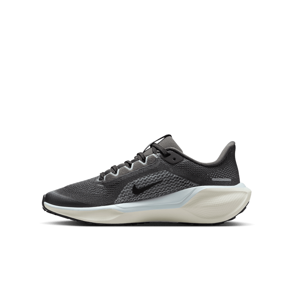 Kids' Nike Nike Pegasus 41 GS - Sneakerology
