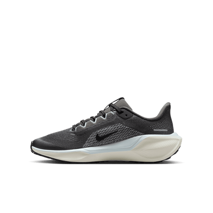 Kids' Nike Nike Pegasus 41 GS - Sneakerology