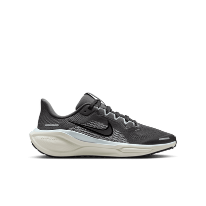 Kids' Nike Nike Pegasus 41 GS - Sneakerology