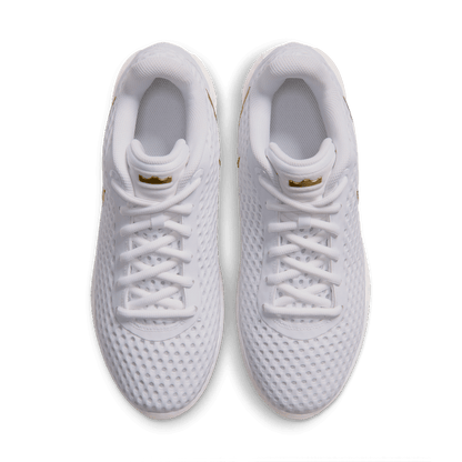 Men's Nike LeBron Witness X