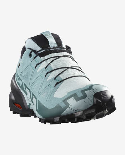 Women's Salomon Speedcross 6 GTX