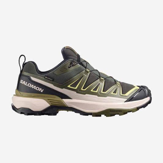 Salomon hiking shoe on a white background