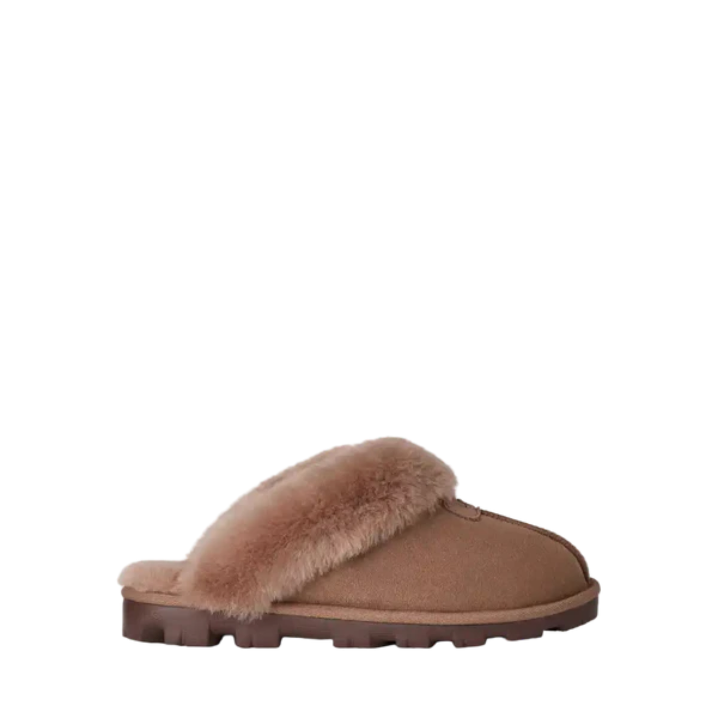 Women's Ugg Coquette