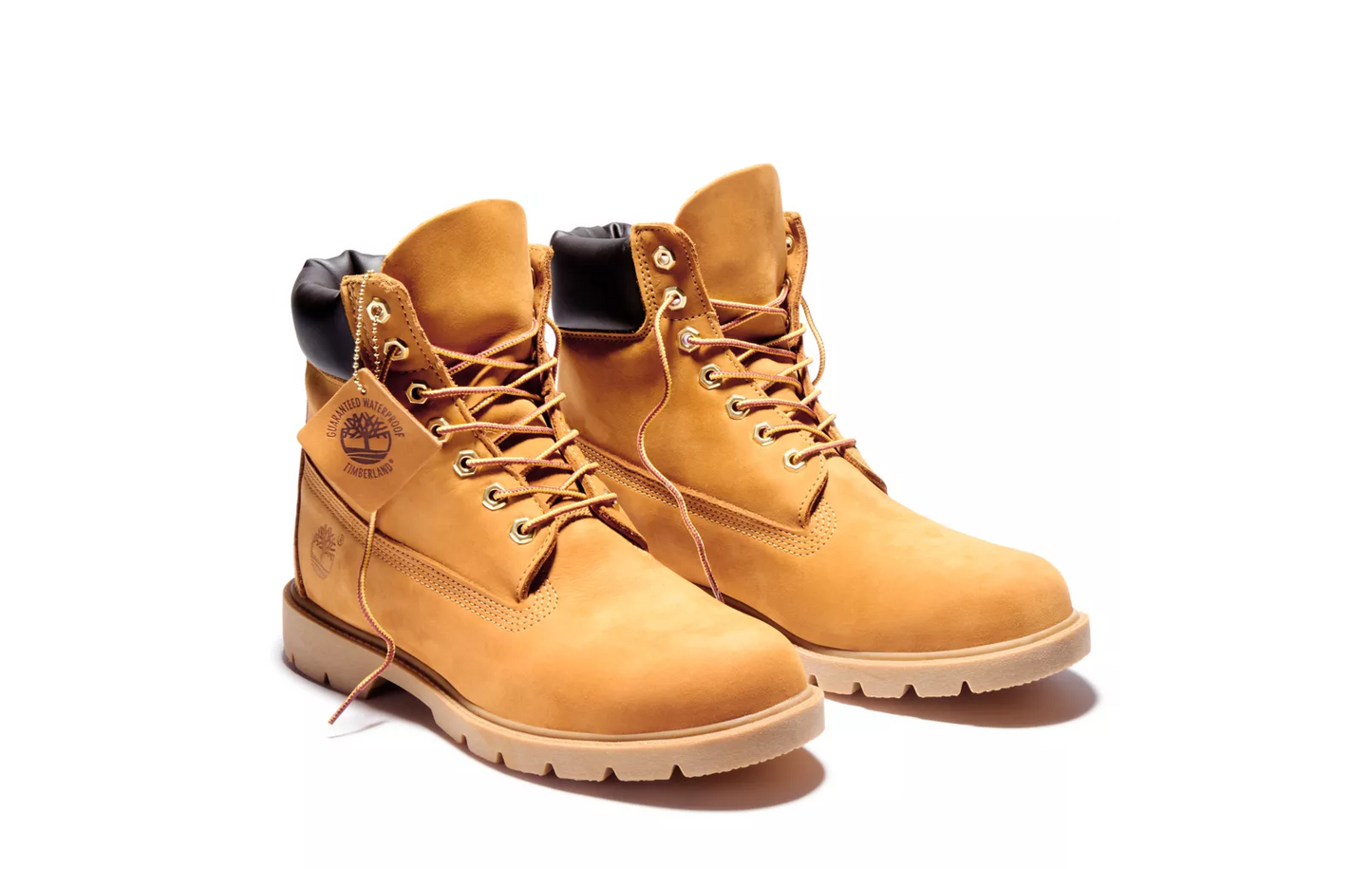 Men's Timberland 6-Inch Basic WP Boot